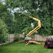 Best Tree Planting Services  in Drexel Hill, PA